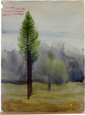 Андрияка Сергей Николаевич. Ненастная весна